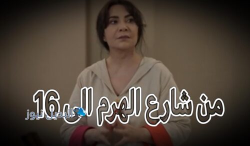 مسلسل من شارع الهرم إلى الحلقه 1